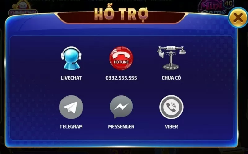 Hình thức hỗ trợ RikVip